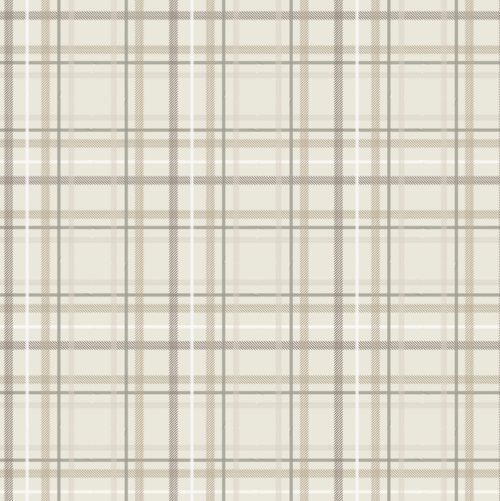 Plaid Minky Stretch Print.