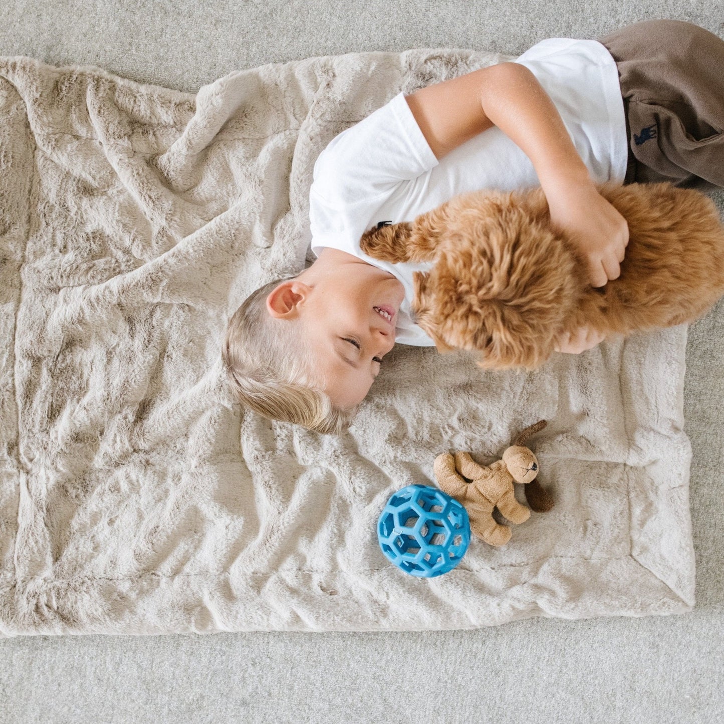 PET BLANKET - Saranoni