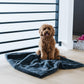 PET BLANKET - Saranoni
